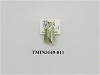 藏品(螟蛾300)的圖片